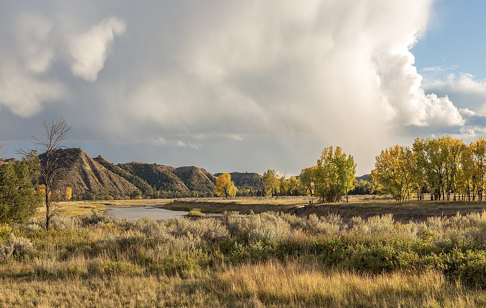 Large gray and white clouds hang above a river, grassland and trees with yellow leaves.